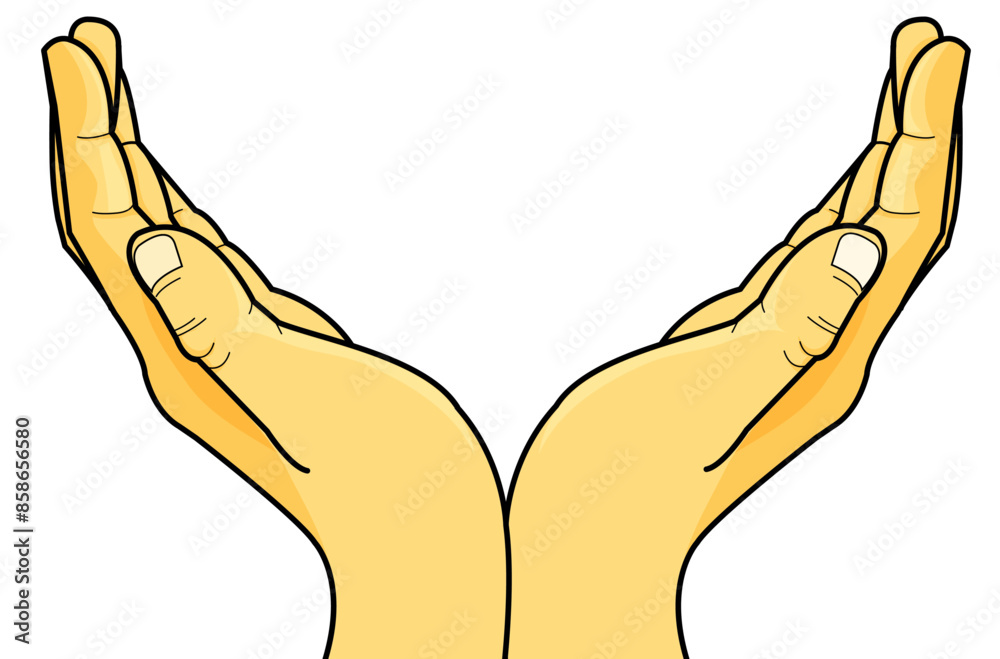 hands manos