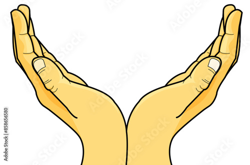 hands manos