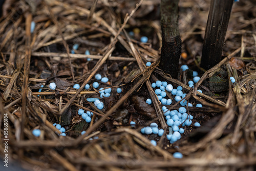 Foto An organic fertilizer after applying on grounds