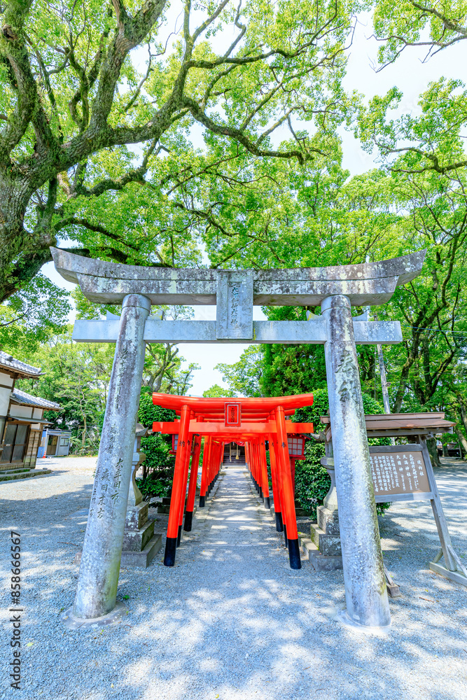 初夏の太郎稲荷大明神 三柱神社 福岡県柳川市 Taro Inari Daimyojin Shrine in early summer. Mihashira Shrine. Fukuoka Pref, Yanagawa City. 初夏の太郎稲荷大明神 三柱神社 福岡県柳川市 Taro Inari Daimyojin Shrine in early summer. Mihashira Shrine. Fukuoka Pref, Yanagawa City.