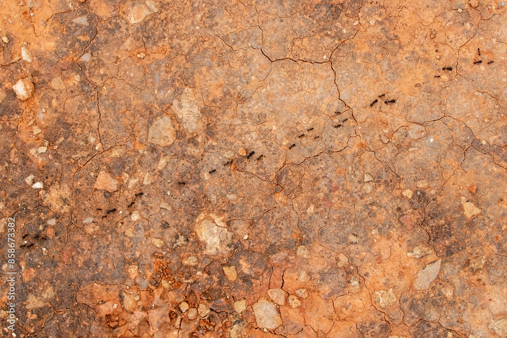 Grunge rusty metal background. Texture of rusty metal with cracks. Grunge rusty metal background. Texture of rusty metal with cracks.
