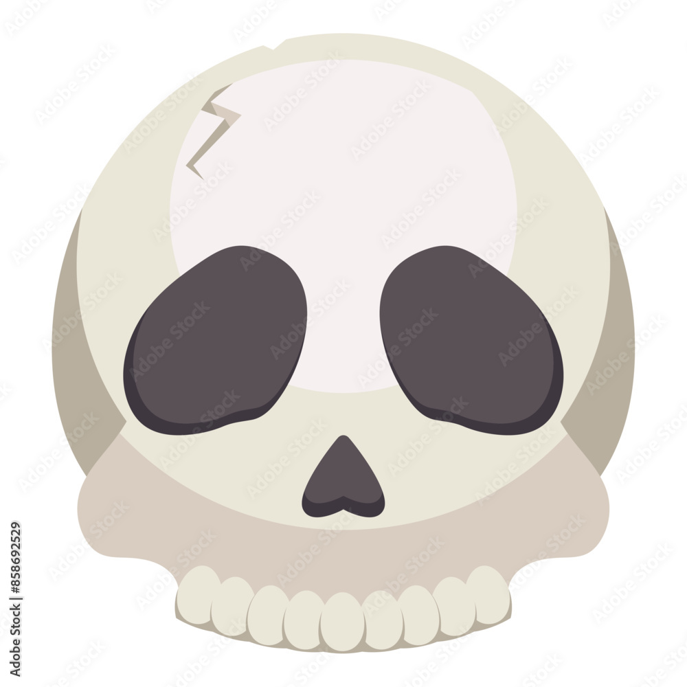 the human skull isolated the human skull isolated