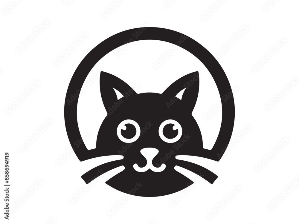 black and white cat black and white cat