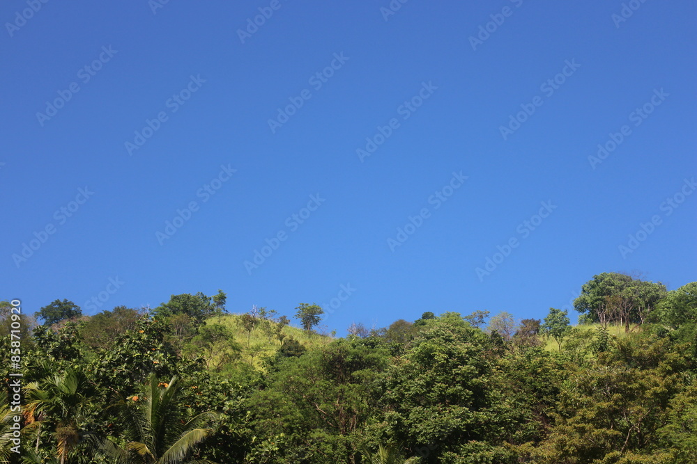 Obraz premium Blue sky and green mountain.