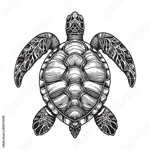 line art of sea turtle top view vector