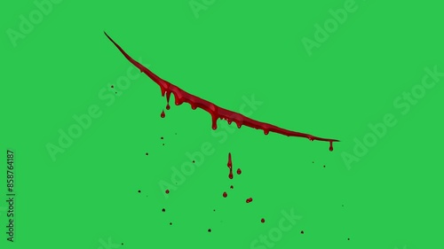 Blood drip set. Drop blood isloated white background. Happy Halloween decoration design. Red splatter stain splash spot, horror blot. Bleeding bloodstain scare texture. 