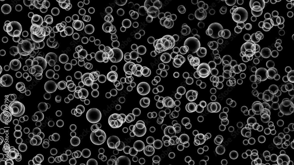 Bubbles rising Motion Graphic Animation