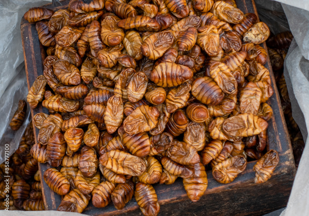 KOREA, SEOUL – April 2024: korean silkworm pupus sold on the street in Seoul, South Korea KOREA, SEOUL – April 2024: korean silkworm pupus sold on the street in Seoul, South Korea