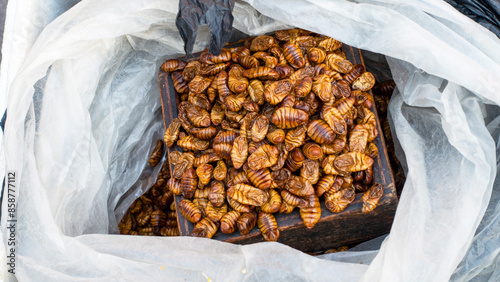 KOREA, SEOUL – April 2024: korean silkworm pupus sold on the street in Seoul, South Korea photo