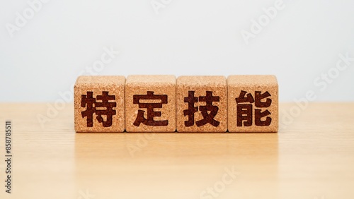 特定技能のイメージ画像