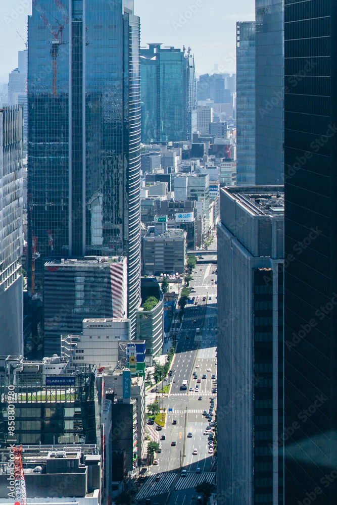 Obraz premium 日本橋 上空からの眺め 都市風景