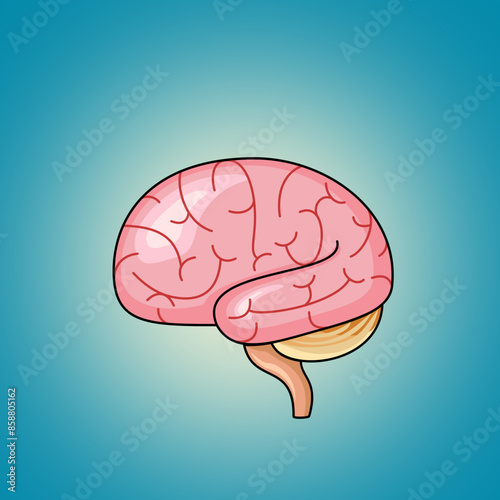 The brain is an important internal organ used to remember and control the body.vector