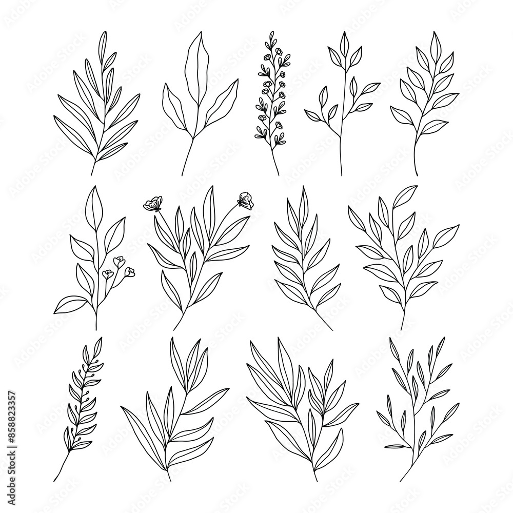 Set of leaves line art illustration vector Set of leaves line art illustration vector