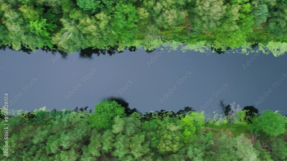 Stunning Aerial View of Dense Evergreen Forest and River. Picturesque View of River Flowing Through Wilderness Reserve Poland. Ecosystem Nature Wild Life Landscape. Global Warming Emissions Reduction. Stunning Aerial View of Dense Evergreen Forest and River. Picturesque View of River Flowing Through Wilderness Reserve Poland. Ecosystem Nature Wild Life Landscape. Global Warming Emissions Reduction.