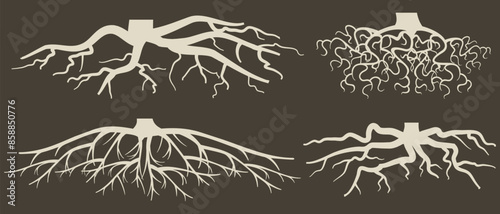 Various brown tree or shrub roots. Parts of plant, root system with tree stump. Dendrology, study of woody plants. Sketch drawing. Vector illustration. eps 10
