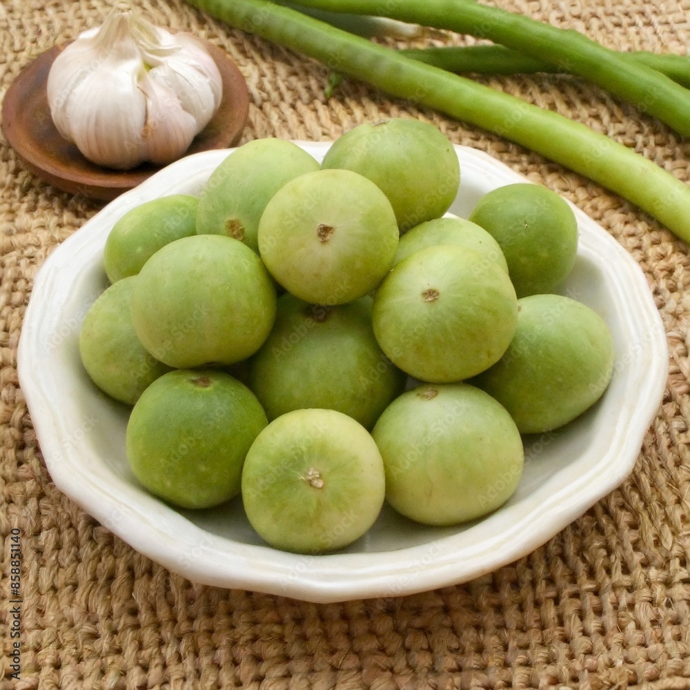 Round Gourd Round Gourd