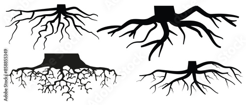 Various realistic tree or shrub roots. Parts of plant, root system with tree stump. Dendrology, study of woody plants. Sketch drawing. Vector illustration.  eps 10