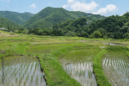 埼玉県内最大級の棚田である寺坂棚田