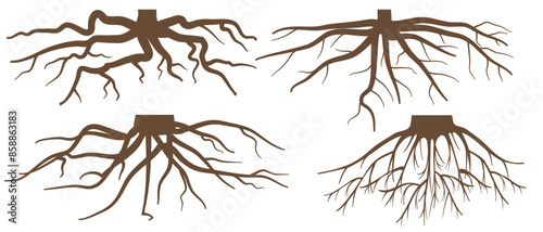 Various brown tree or shrub roots. Parts of plant, root system with tree stump. Dendrology, study of woody plants. Sketch drawing. Vector illustration. eps 10