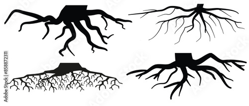 Various realistic tree or shrub roots. Parts of plant, root system with tree stump. Dendrology, study of woody plants. Sketch drawing. Vector illustration.  eps 10
