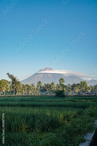 morning view of semeru mountain with a ricefield photo