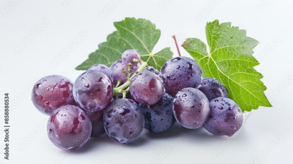 Fototapeta premium Fresh Grapes with Dew Drops and a Vine Leaf