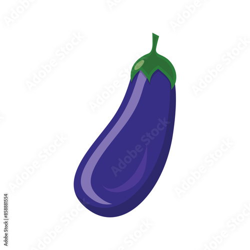 Flat vector eggplant illustration isolated on white background