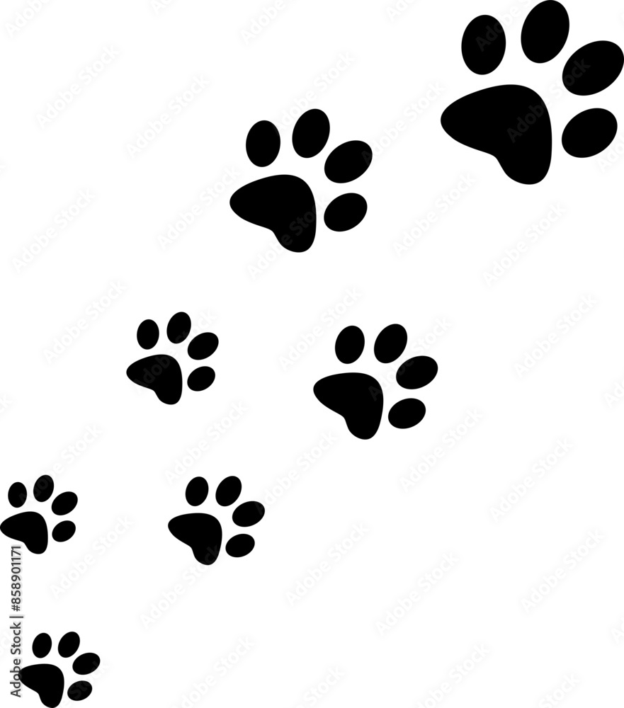 Cat Footprints Cat Footprints