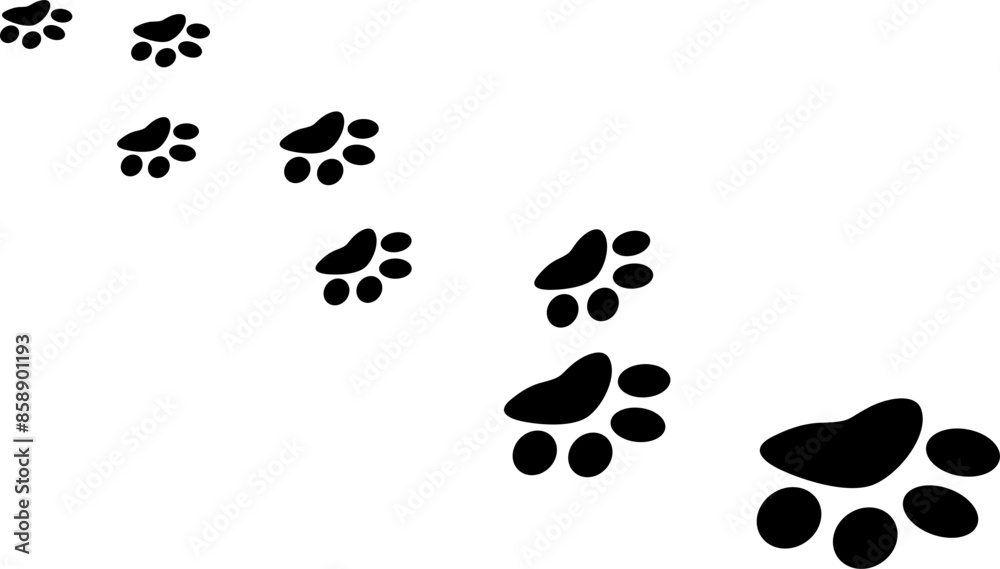 Cat Footprints