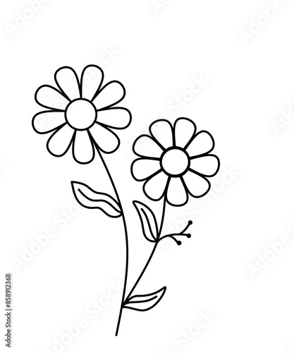 Collection of hand drawn line botanical elements. Vector illustration