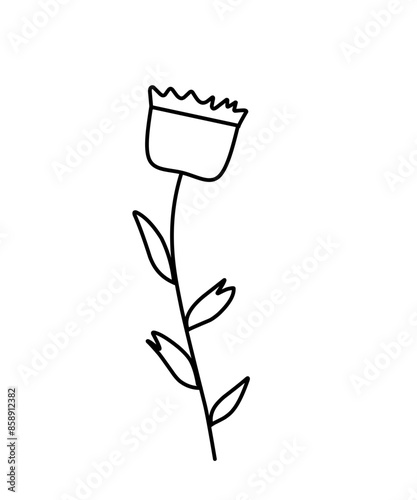 Collection of hand drawn line botanical elements. Vector illustration