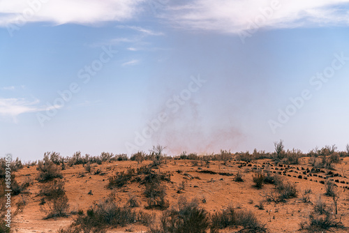 A desert landscape with a few trees and a cloud in the sky. The sky is blue and the sun is shining