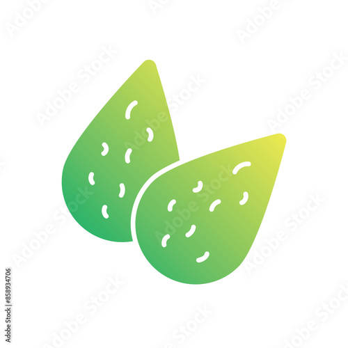 Almond vector icon