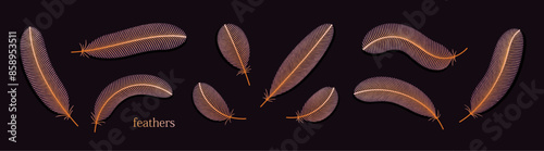 Set of stylized bird feathers. Vector art