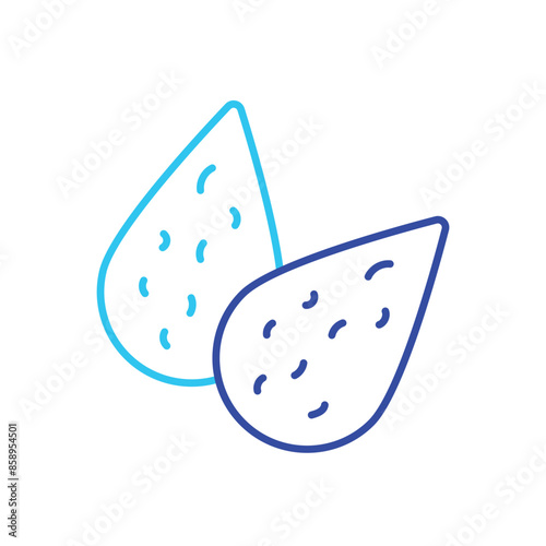 Almond vector icon
