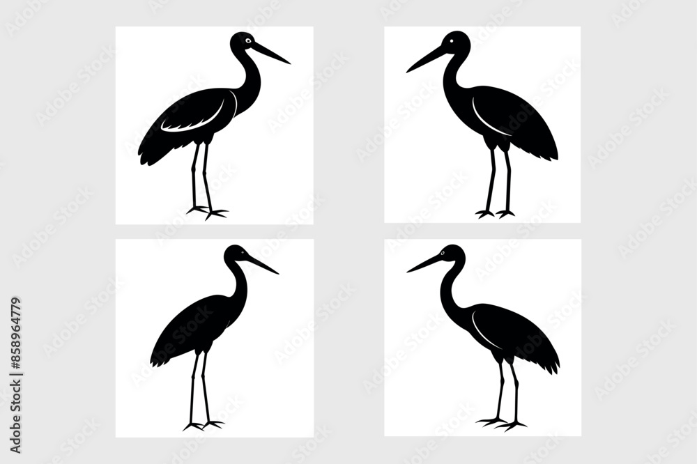 Fototapeta premium Set of Stork Birds