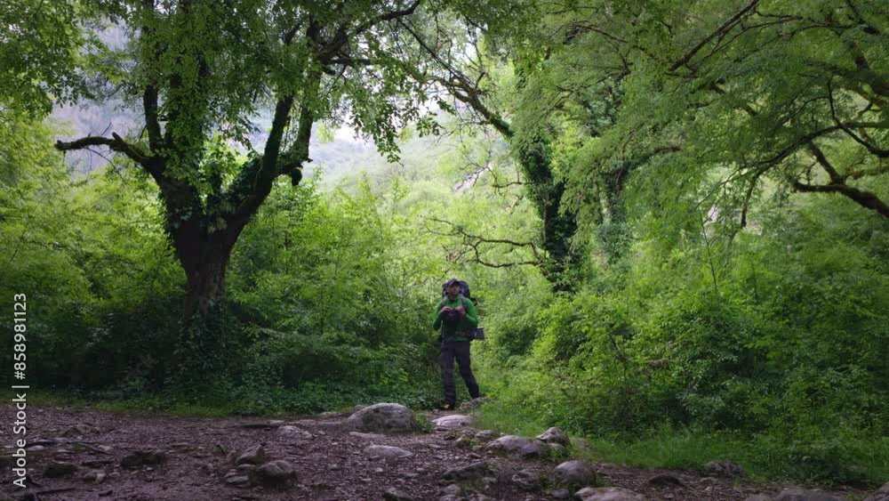 A lone hiker navigates the winding trail through the verdant, dense foliage of Vikos Gorge. A lone hiker navigates the winding trail through the verdant, dense foliage of Vikos Gorge.