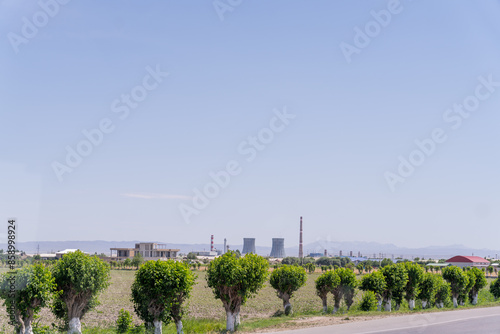 A row of trees are lined up along a road. The sky is clear and the sun is shining