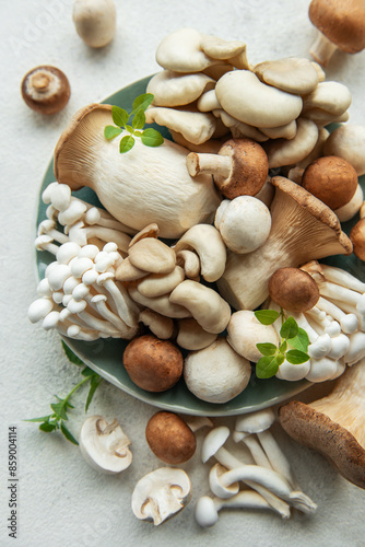 Assortment of various raw mushrooms on gray concrete background.