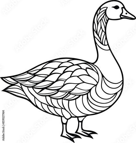 animal manadala coloring pages for stressrelief 