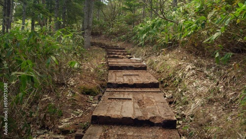 尾瀬の木道　沼山峠