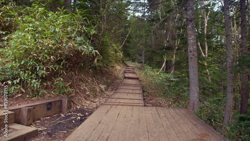 尾瀬の木道　沼山峠