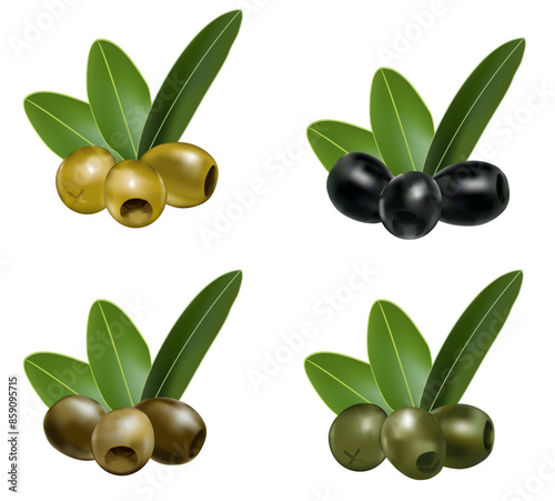 Olives Branch with Leaves. Green and black olives set. Realistic