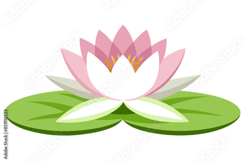 Waterlily Waterlilies vector illustration and svg