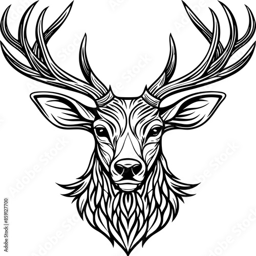 antler head, deer head illustration
