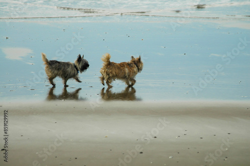 Strolling on the beach under the winter sun in New Zealand