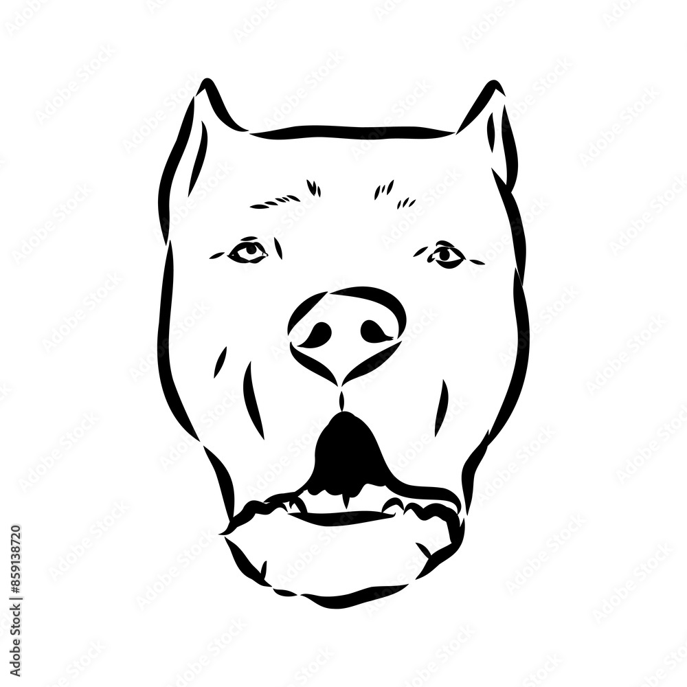 Obraz premium Vintage hand drawn sketch American bandog