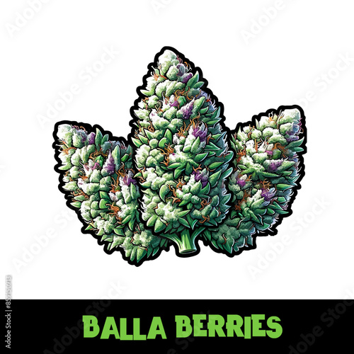 Vector Illustrated Balla Berries Cannabis Bud Strain Cartoon
