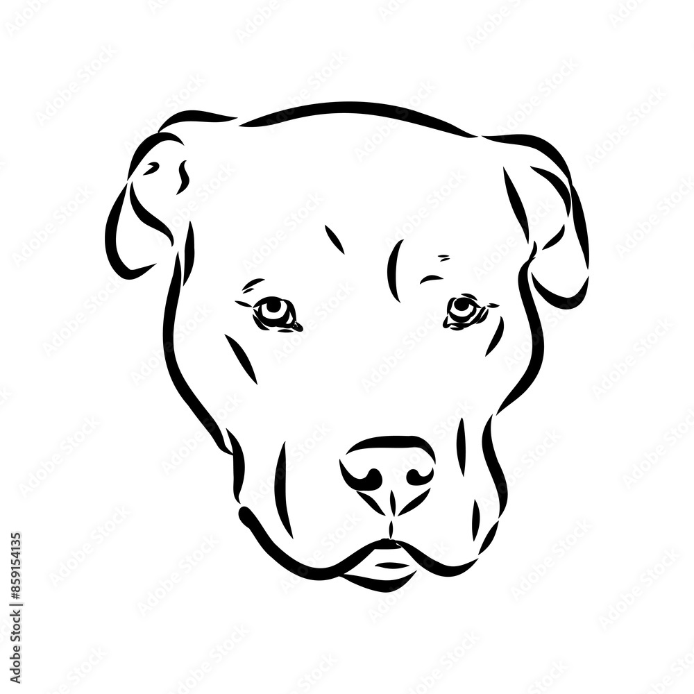Fototapeta premium Vintage hand drawn sketch American bandog