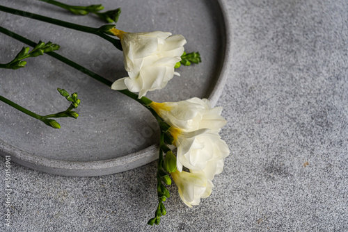 Elegant freesia flowers on a textured gray plate
